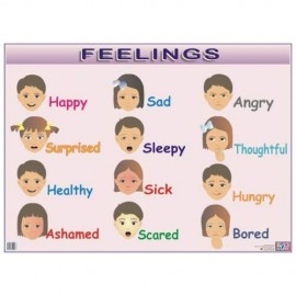 Feelings