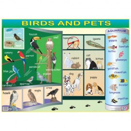 Birds and Pets