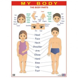 My Body